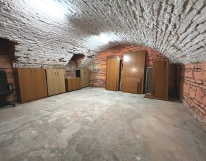 Espace Commercial à louer dans Cluj-napoca, zone Centru