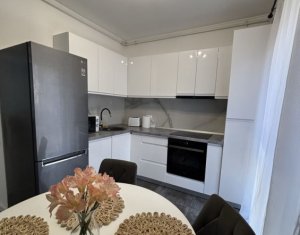 Appartement 2 chambres à louer dans Cluj-napoca, zone Zorilor
