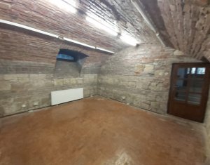 Maison 20 chambres à louer dans Cluj-napoca, zone Andrei Muresanu