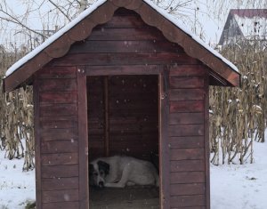 Maison 22 chambres à vendre dans Caseiu