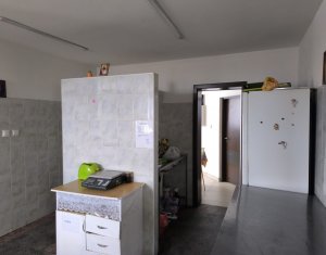 Maison 22 chambres à vendre dans Caseiu