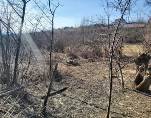 Teren intravilan in suprafata de 1000 mp, Ciurila