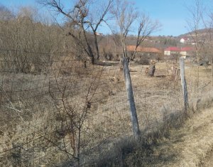 Teren intravilan in suprafata de 1000 mp, Ciurila