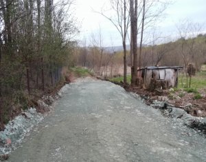 Teren intravilan, 1000 mp, Ciurila