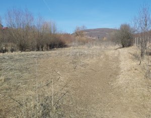 Teren intravilan, 1000 mp, Ciurila