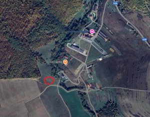 , 2450m2 dans Ciurila
