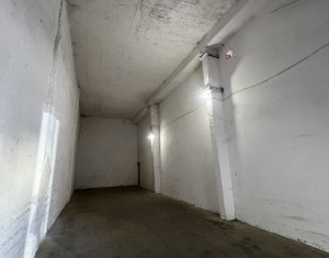 Espace Industriel à louer, 90m2 dans Cluj-napoca