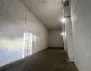 Espace Industriel à louer dans Cluj-napoca
