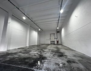 Espace Industriel à louer dans Cluj-napoca