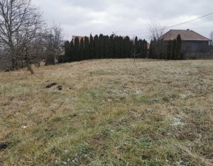 , 1000m2 dans Aiton