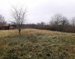 Terrain à vendre dans Aiton