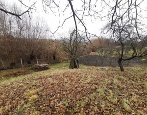 Terrain à vendre dans Aiton