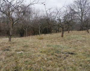 Terrain à vendre dans Aiton