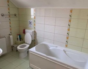 Maison 4 chambres à louer dans Cluj-napoca, zone Iris
