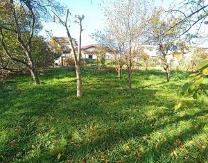 Terrain à vendre dans Cluj-napoca, zone Dambul Rotund