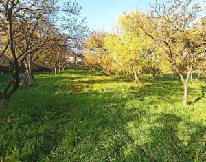 Terrain à vendre dans Cluj-napoca, zone Dambul Rotund
