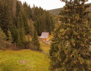 , 76m2 dans Poiana Horea