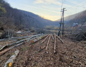 , 3279m2 in Marisel