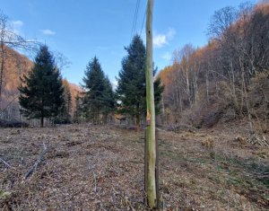 Teren Intravilan de Vânzare – 3279 MP – Coada Lacului Tarnița