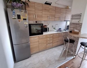 Appartement 2 chambres à vendre dans Cluj-napoca, zone Iris