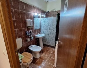 Appartement 2 chambres à vendre dans Cluj-napoca, zone Iris