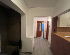 Appartement 2 chambres à louer dans Cluj-napoca, zone Intre Lacuri