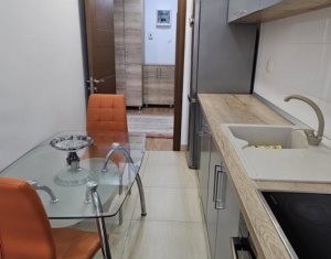 Appartement 2 chambres à louer dans Cluj-napoca, zone Buna Ziua