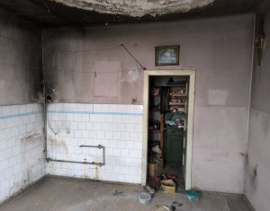 Maison 2 chambres à vendre dans Cluj-napoca, zone Intre Lacuri
