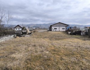 Terrain à vendre dans Mintiu Gherlii