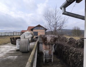 Terrain à vendre dans Mintiu Gherlii
