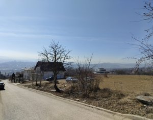Terrain à vendre dans Cluj-napoca, zone Dambul Rotund