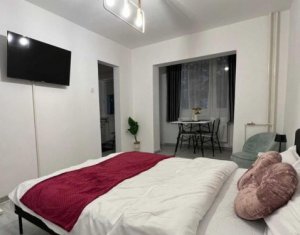 Appartement 1 chambres à vendre dans Cluj-napoca, zone Marasti
