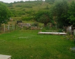 Maison 5 chambres à vendre dans Viisoara
