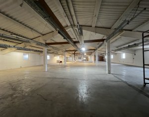 Espace Industriel à vendre dans Floresti
