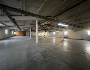 Espace Industriel à vendre dans Floresti