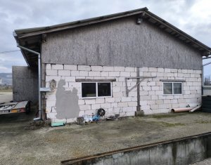 Maison 5 chambres à vendre dans Mintiu Gherlii