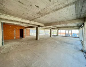 Espace Commercial à louer, 223.3m2 dans Floresti