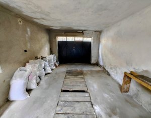 Maison 3 chambres à vendre dans Cluj-napoca, zone Gruia
