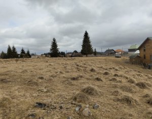 , 374m2 in Balcesti (belis)