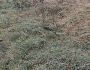 Terrain à vendre dans Cluj-napoca