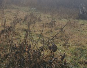 Terrain à vendre dans Cluj-napoca