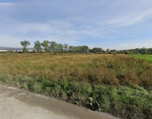 , 5000m2 dans Cluj-napoca, zone Sopor