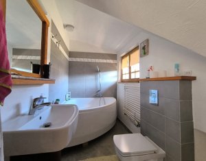 Casa rustica, exclusivista, 5 camere, 170 mp utili, 550 mp teren, Salicea