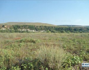 , 6186m2 dans Floresti