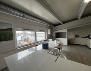 Espace Industriel à louer dans Cluj-napoca, zone Iris