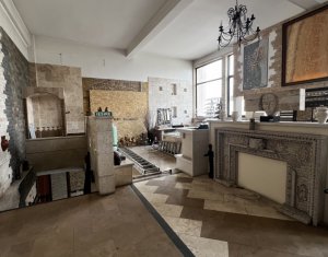 Espace Commercial à louer dans Cluj-napoca, zone Bulgaria
