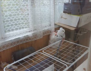 Appartement 2 chambres à vendre dans Cluj-napoca, zone Manastur