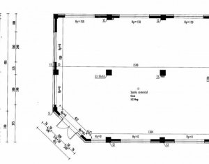 Espace Commercial à vendre, 188m2 dans Cluj-napoca, zone Someseni