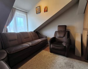 Oportunitate investitie, 2 case, 13 camere, Andrei Muresanu