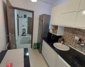 Appartement 2 chambres à vendre dans Cluj-napoca, zone Buna Ziua